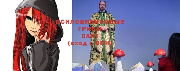 ешки Алексин