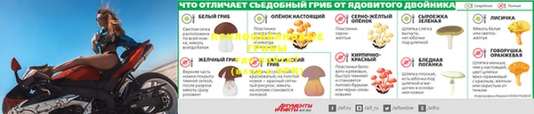 ешки Алексин