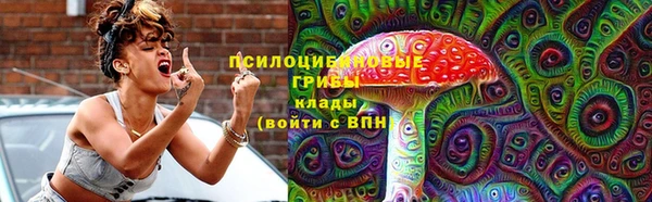 ешки Алексин